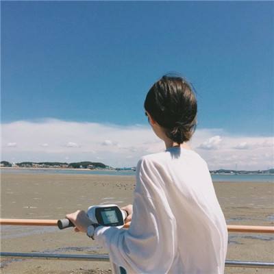 方舟之旅测试服下载